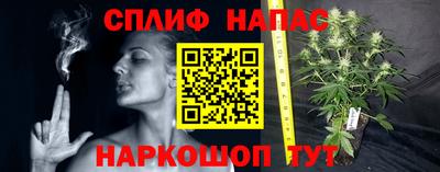 Альфа ПВП Будённовск