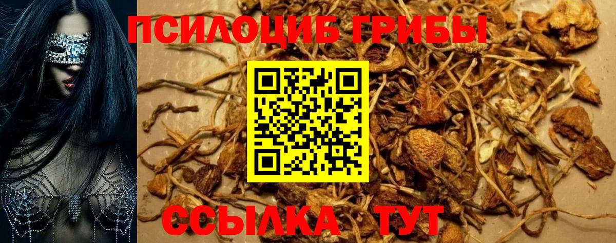 Галлюциногенные грибы мицелий  Вход с VPN  Галлюциногенные грибы MAGIC MUSHROOMS  Югорск 