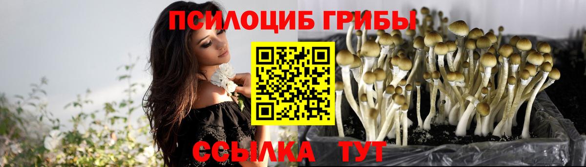 Галлюциногенные грибы прущие грибы Югорск